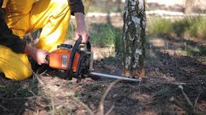 Best Soil Testing and Treatment  in Lynchburg, VA
