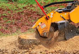 Best Lawn Renovation and Restoration  in Lynchburg, VA