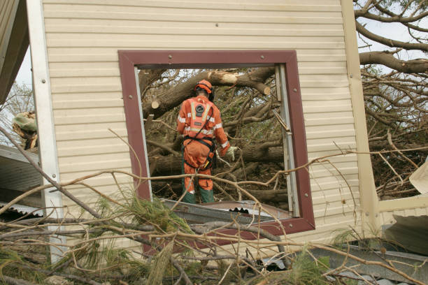 Best Tree Risk Assessment  in Lynchburg, VA