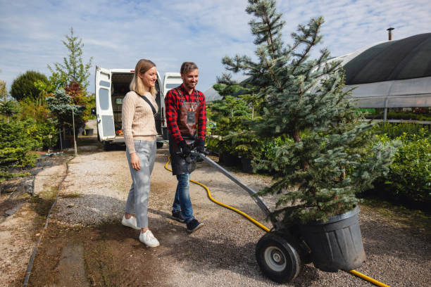 Best Weed Control  in Lynchburg, VA